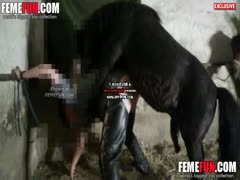 Amazing zoophilia xxx scenes including the equestrian